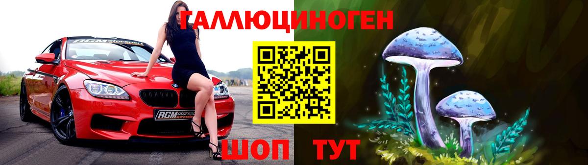 Галлюциногенные грибы Psilocybine cubensis  Вход с VPN  Гусь-Хрустальный 